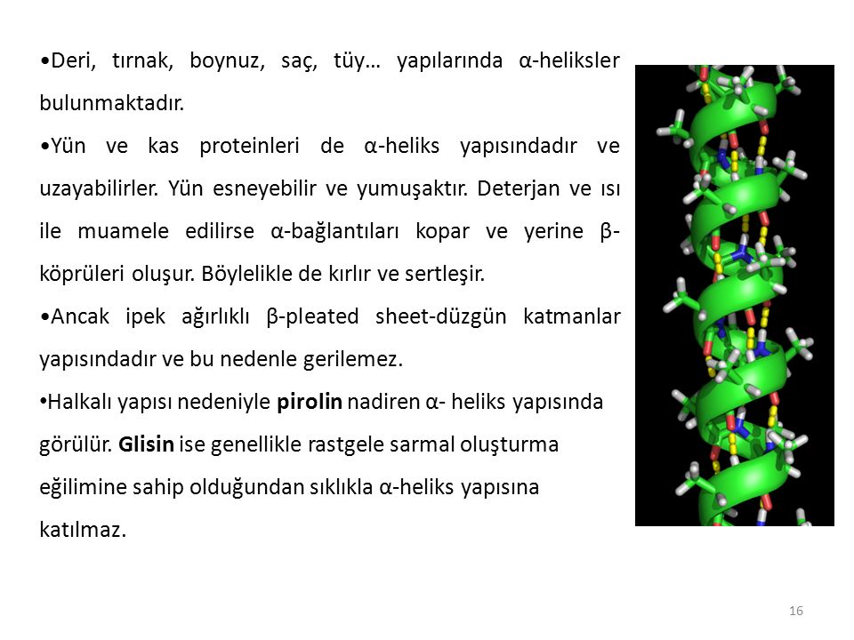 Prote Nler N Yapilarindak Ba Lar Ppt Indir